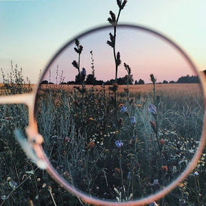 Meet your Posher, Felicity